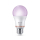 Philips Smart żarówka 60W A60 E27 + Pilot - 1541394 - zdjęcie 3